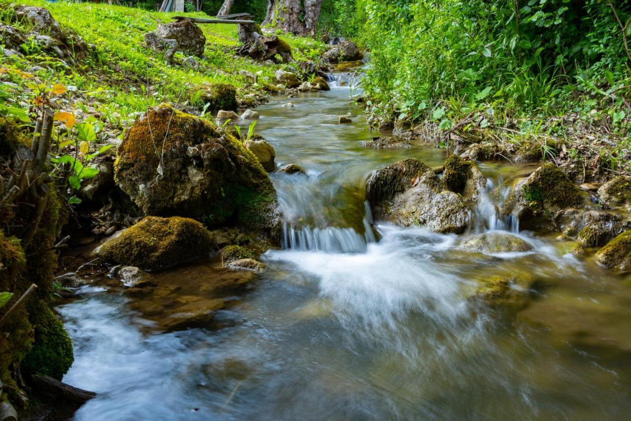 Kuca U Sumi - Forrest House Near Una National Park Bihać Екстериор снимка